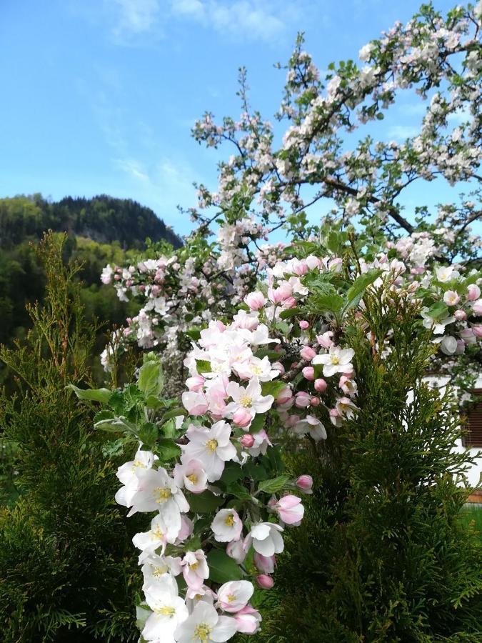 Appartementhaus Grill Strobl Kültér fotó
